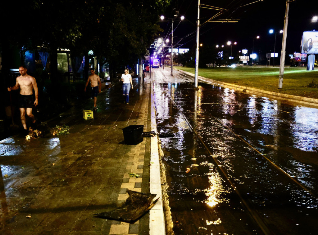 Na Bežanijskoj Kosi korenje stabla koje je oborio vetar podiglo dva automobila