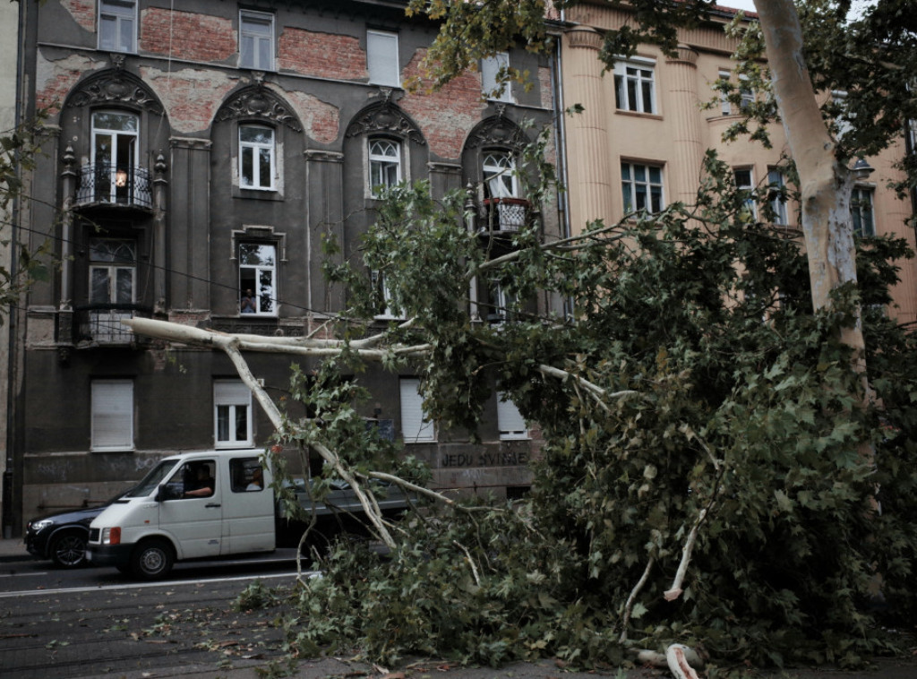 Nevreme u Dubrovniku rušilo stabla, krovove i prevrtalo plovila
