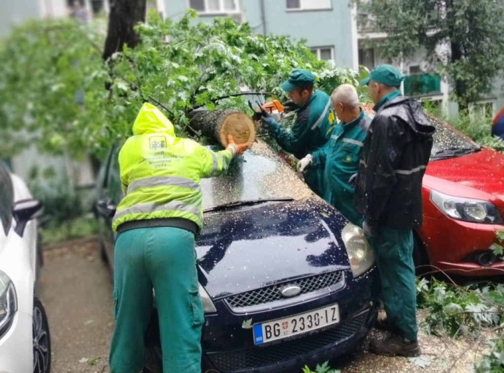 Zelenilo Beograd: Veliki broj intervencija zbog sinoćnog nevremena