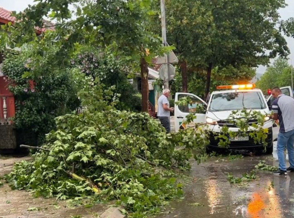 Crna Gora: Dve žrtve nevremena u Baru i Luštici; Dve osobe spasene u Skadaraskom jezeru