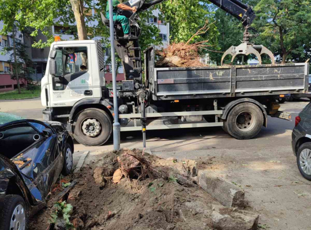 "Zelenilo Beograd" intervenisalo na 639 lokacija, na 56 došlo do materijalne štete