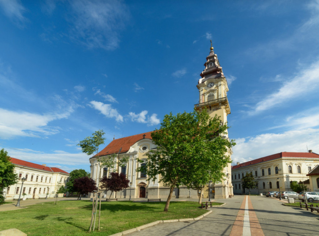 Otvorena izložba "Fosili kao odrazi prošlosti" u Prirodnjačkom muzeju u Vršcu