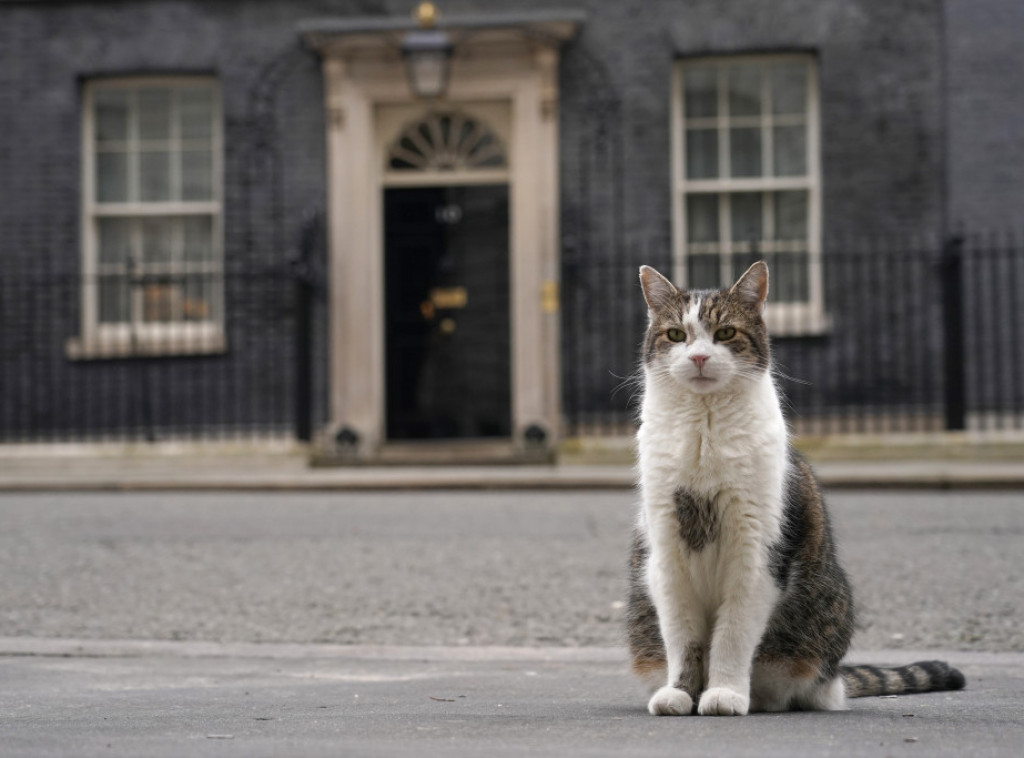 Mačak Lari u Dauning stritu u Londonu dočekao svog šestog premijera