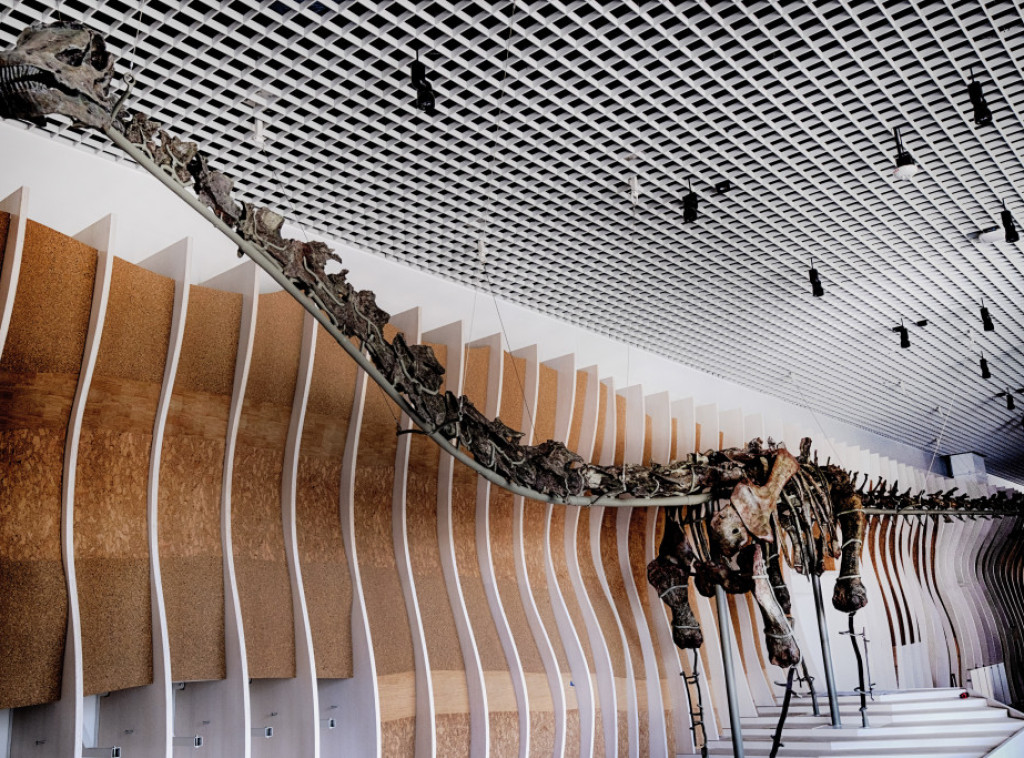 Fosil dinosaurusa sa zelenim kostima naći će se na izložbi u Prirodnjačkom muzeju u Los Anđelesu