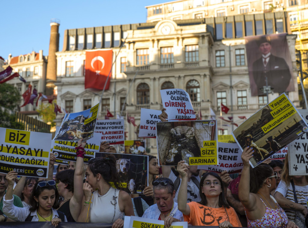 Turska usvojila zakon o uklanjanju pasa sa ulica, opozicija obećala žalbu