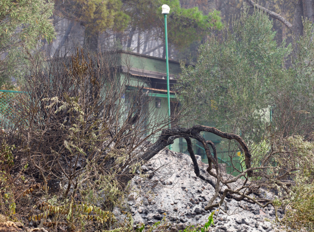 Požar u hrvatskoj opštini Podgora pod kontrolom, turisti evakuisani