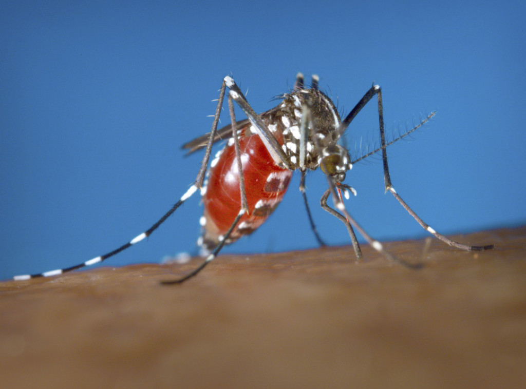 Istraživači razvili aparat koji će pomoći u kontroli bolesti koje prenose komarci