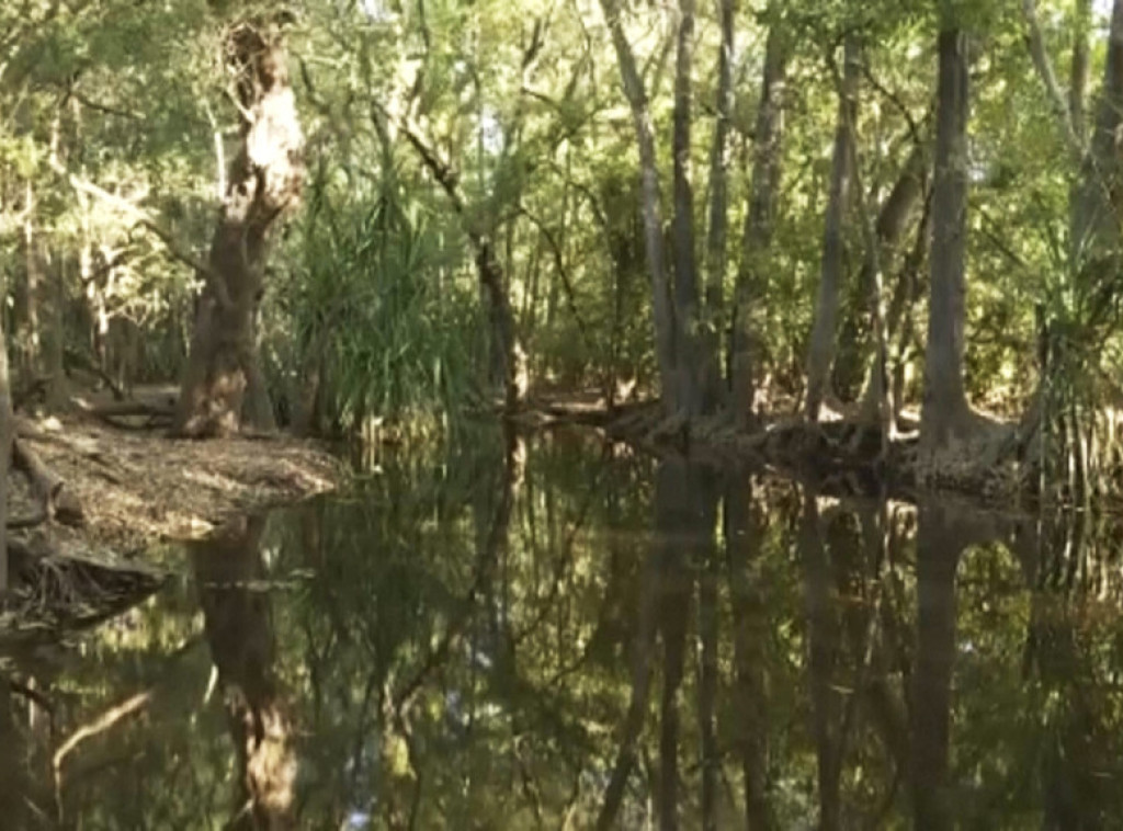 Australija: Pronađeni ljudski ostaci u utrobi krokodila