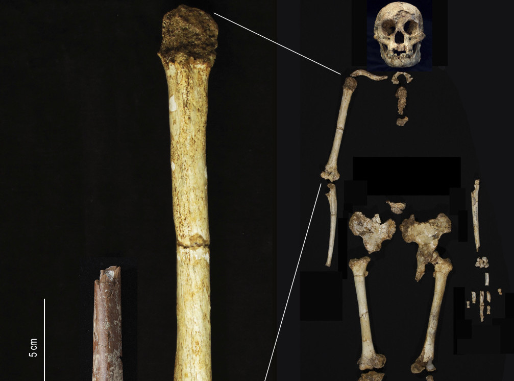 U Indoneziji pronađena najsitnija kost drevnih predaka