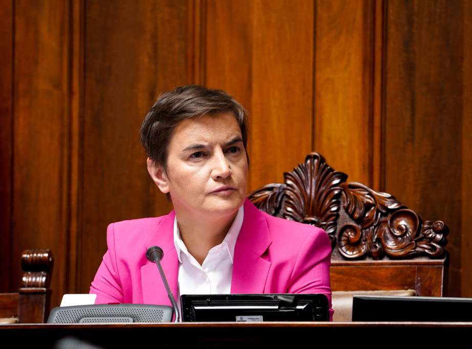 Brnabić: Platforma "Jadar na dlanu" za oko mesec dana