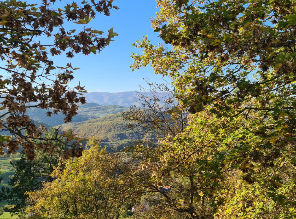 U Srbiji danas pretežno sunčano i malo toplije, temperatura do 23 stepena