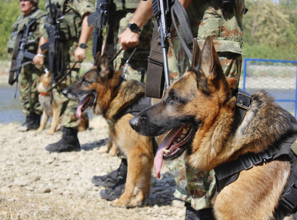 Vojska Srbije izvršila obuku vodiča i službenih pasa u jedinicama vojne policije