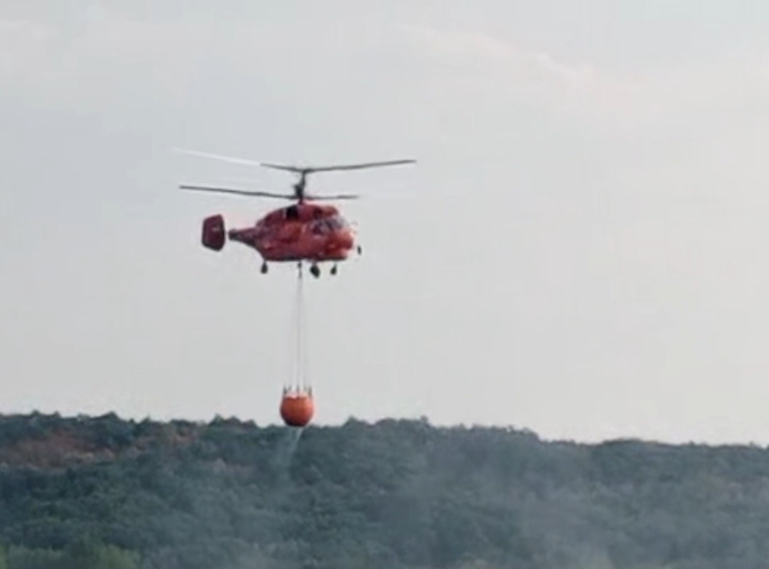 Borba sa požarom na Vidliču se nastavlja, najteže u selima Krupac, Smilovci i Basara