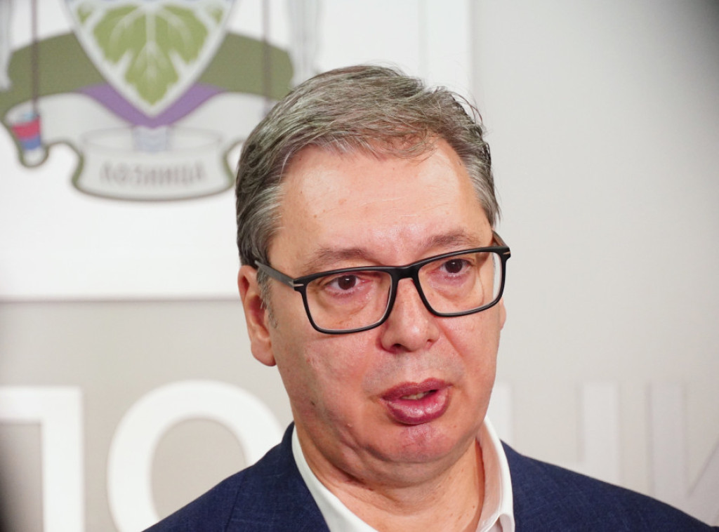 Vučić: Upoznao sam Harčenka sa situacijom na KiM i brutalnim provokacijama Prištine