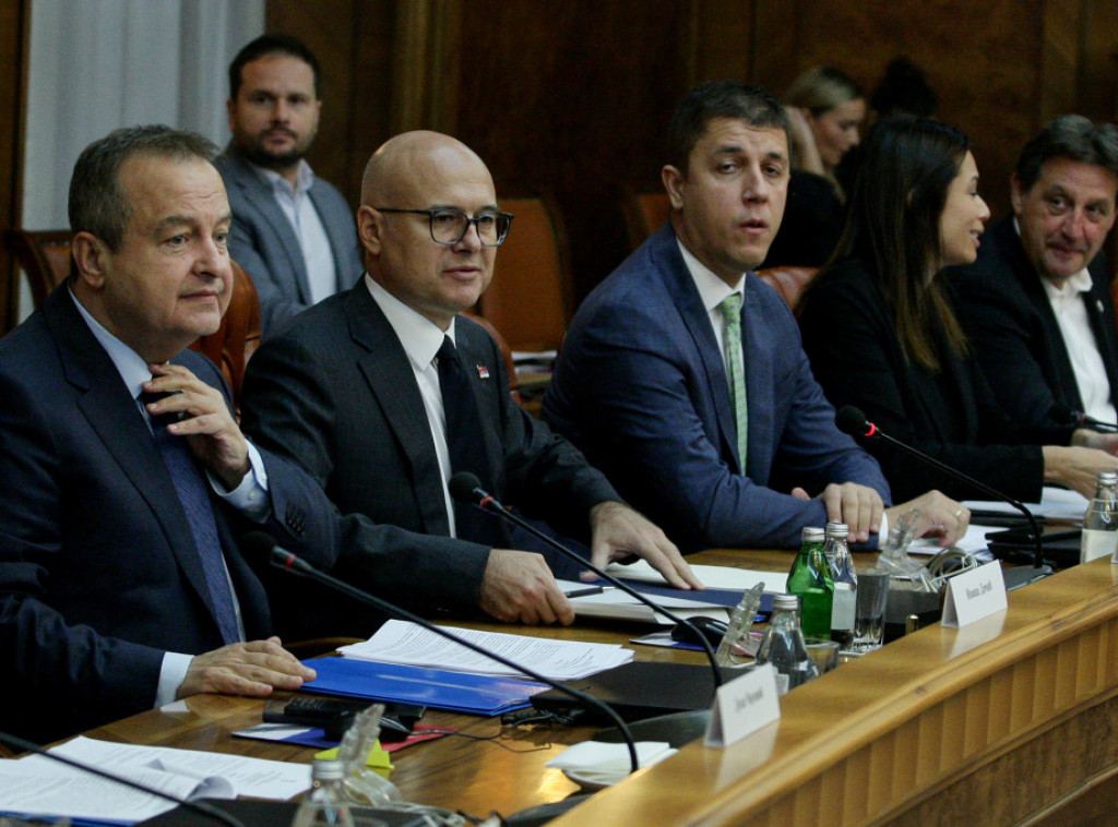 Vucevic chairs session of council coordinating GDP growth measures