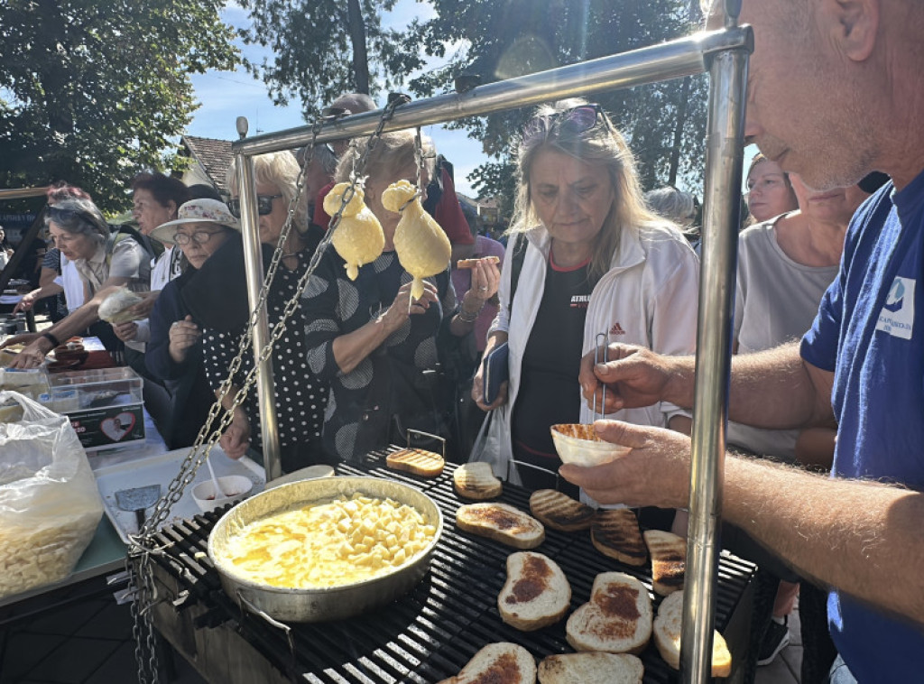 Otvoren Sajam pirotskog sira i kačkavalja