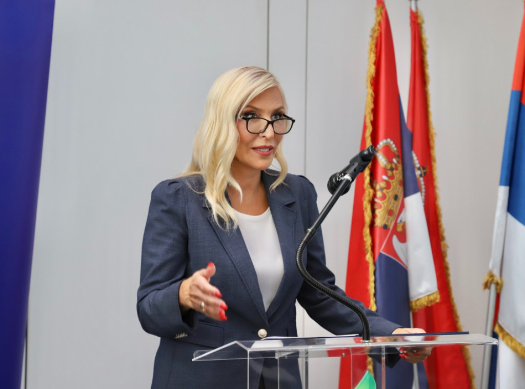 Maja Popović: Pooštrene kazne za nasilje u porodici, predviđena i zaštita prosvetara