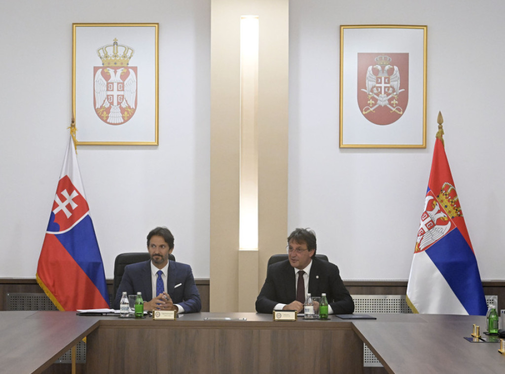 Gasic meets with Slovakia's Kalinak