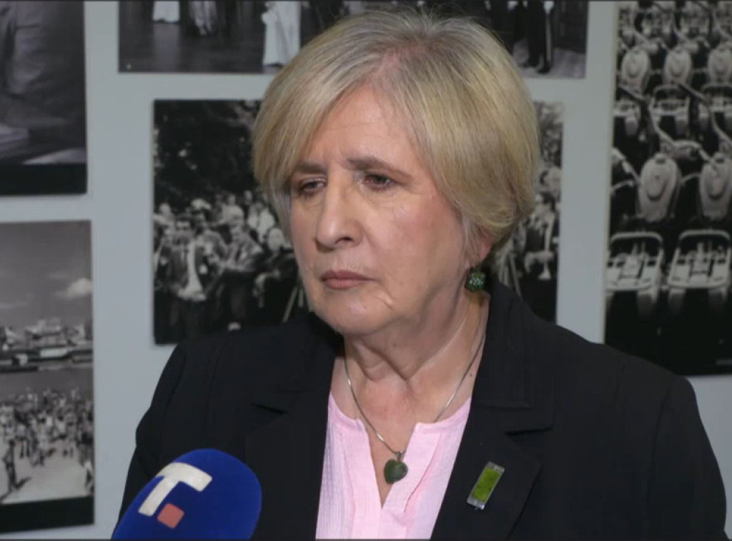 Putnikovic: Large gas power plant would ensure stable electricity source to Serbia