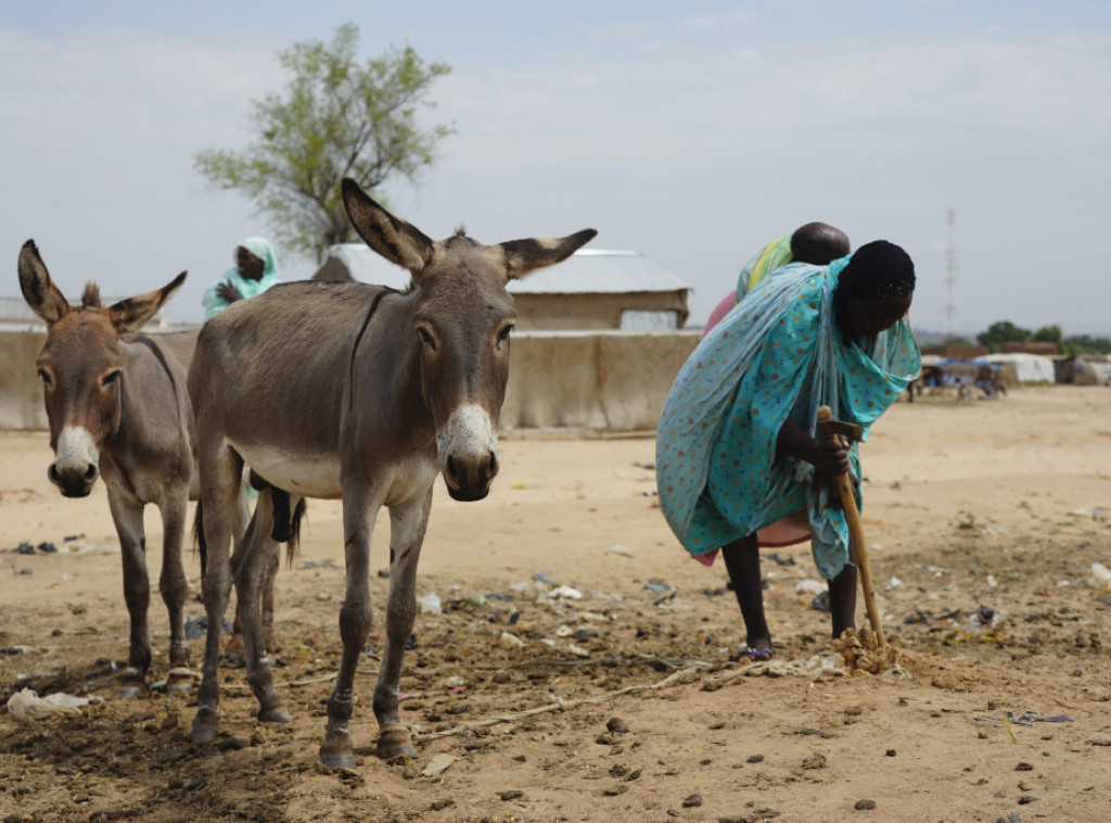 Program za hranu: Humanitarna pomoć kreće ka delovima pogođenim glađu u Sudanu