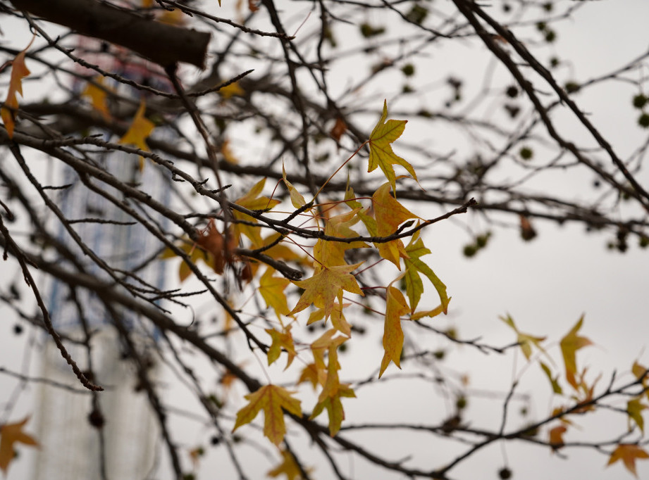 U Srbiji danas oblačno i pretežno suvo, temperatura do 11 stepeni