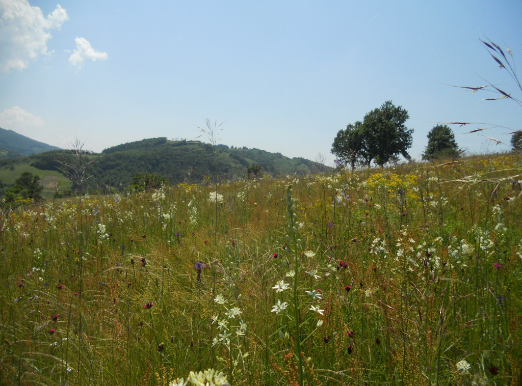 Planina Rudnik proglašena zaštićenim područjem u Srbiji